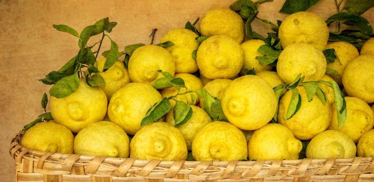Lemon of Sorrento